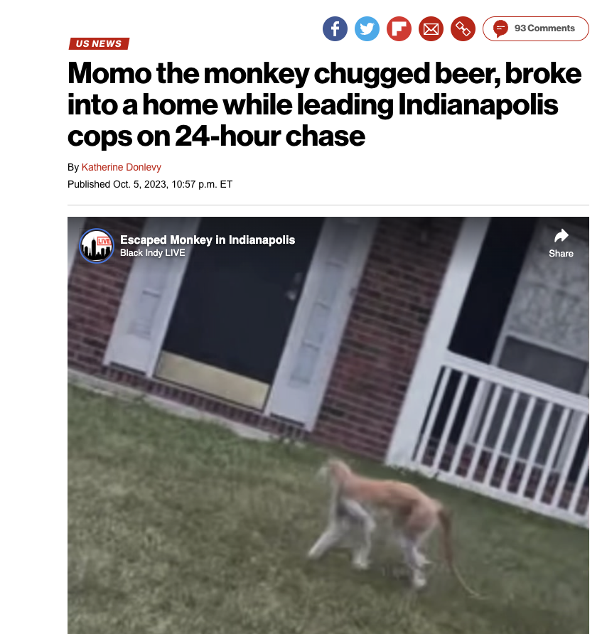indianapolis momo monkey - Us News 93 Momo the monkey chugged beer, broke into a home while leading Indianapolis cops on 24hour chase By Katherine Donlevy Published Oct. 5, 2023, p.m. Et Escaped Monkey in Indianapolis Black Indy Live